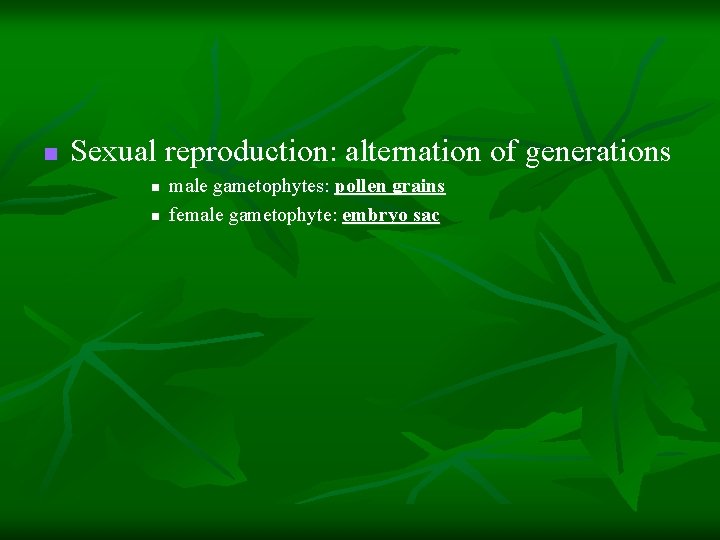 n Sexual reproduction: alternation of generations n n male gametophytes: pollen grains female gametophyte: