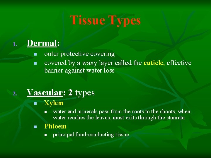 Tissue Types 1. Dermal: n n 2. outer protective covering covered by a waxy