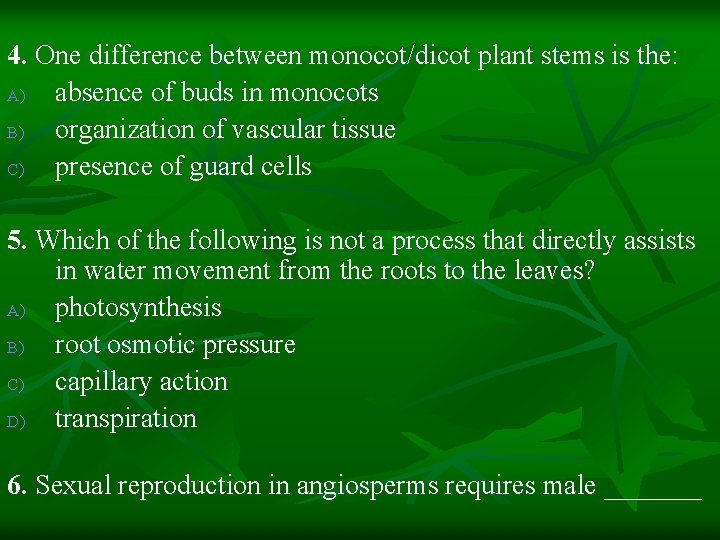 4. One difference between monocot/dicot plant stems is the: A) absence of buds in