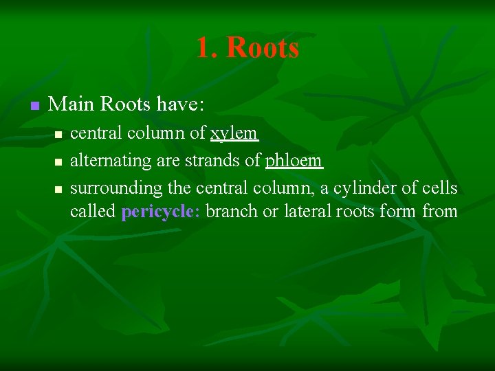 1. Roots n Main Roots have: n n n central column of xylem alternating