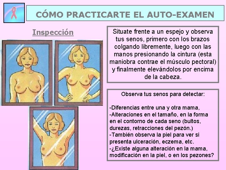 CÓMO PRACTICARTE EL AUTO-EXAMEN Inspección Situate frente a un espejo y observa tus senos,