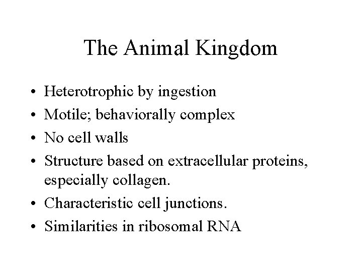 The Animal Kingdom • • Heterotrophic by ingestion Motile; behaviorally complex No cell walls