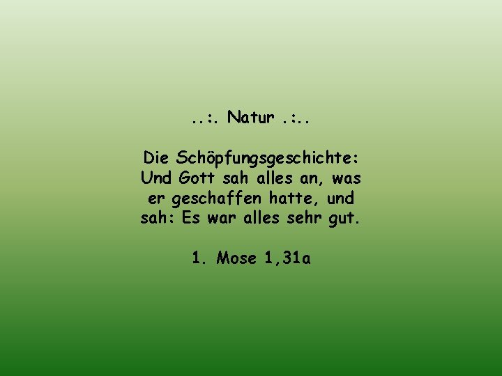 . . : . Natur. : . . Die Schöpfungsgeschichte: Und Gott sah alles