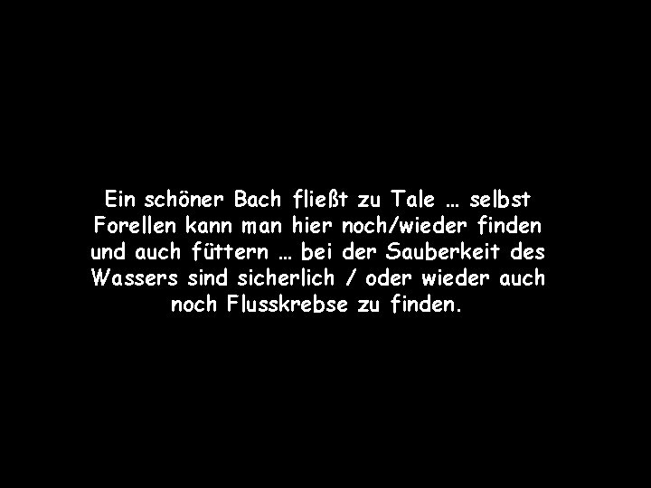 Ein schöner Bach fließt zu Tale … selbst Forellen kann man hier noch/wieder finden