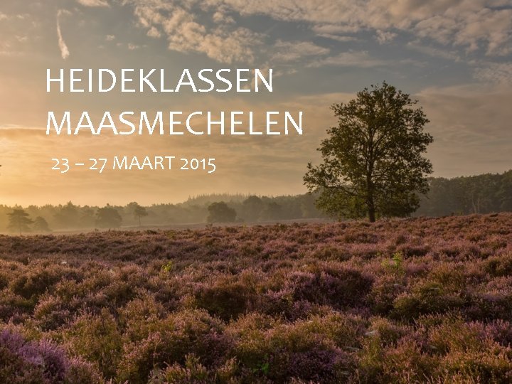 HEIDEKLASSEN MAASMECHELEN 23 – 27 MAART 2015 