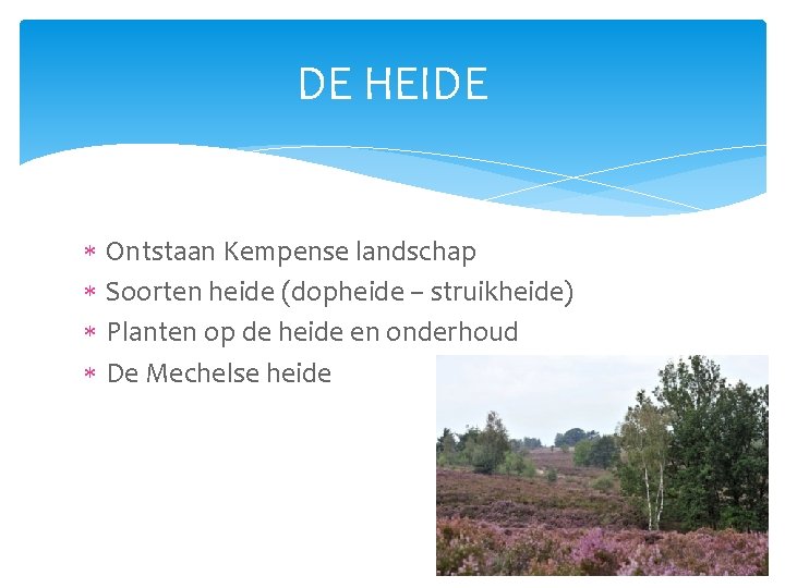 DE HEIDE Ontstaan Kempense landschap Soorten heide (dopheide – struikheide) Planten op de heide