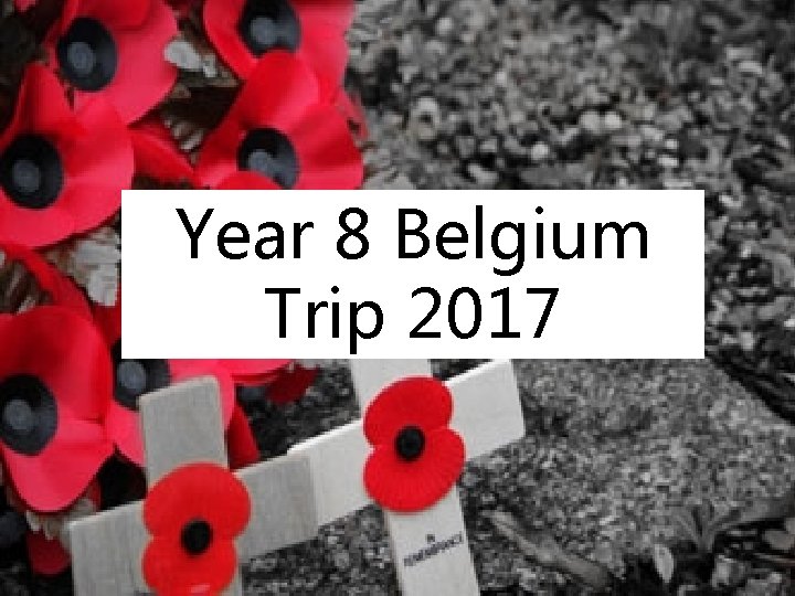 Year 8 Belgium Trip 2017 