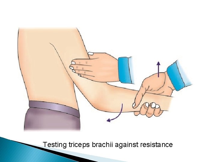 Testing triceps brachii against resistance 