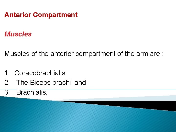 Anterior Compartment Muscles of the anterior compartment of the arm are : 1. Coracobrachialis