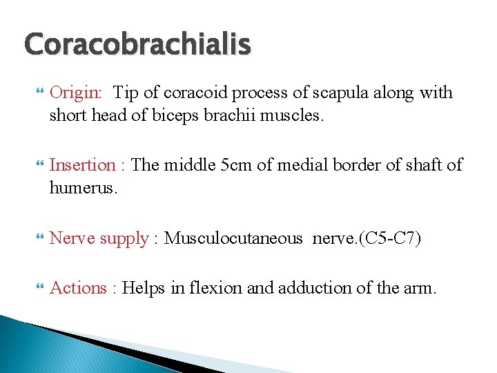 Coracobrachialis Origin: Tip of coracoid process of scapula along with short head of biceps
