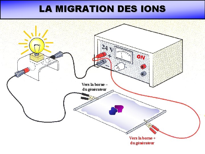 LA MIGRATION DES IONS ON Vers la borne – du générateur Vers la borne LA MIGRATION DES IONS ON Vers la borne – du générateur Vers la borne