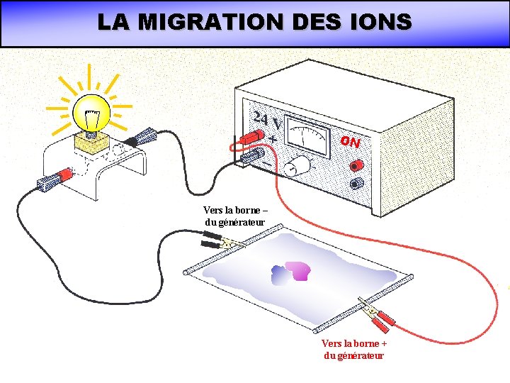 LA MIGRATION DES IONS ON Vers la borne – du générateur Vers la borne LA MIGRATION DES IONS ON Vers la borne – du générateur Vers la borne