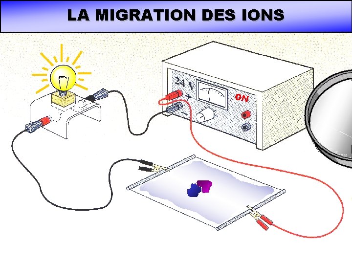 LA MIGRATION DES IONS ON LA MIGRATION DES IONS ON