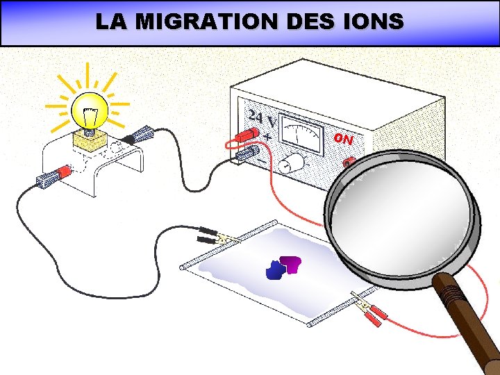 LA MIGRATION DES IONS ON LA MIGRATION DES IONS ON