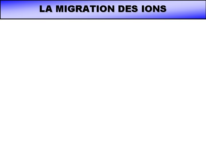 LA MIGRATION DES IONS LA MIGRATION DES IONS