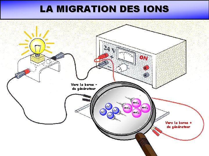 LA MIGRATION DES IONS ON Vers la borne – du générateur Vers la borne LA MIGRATION DES IONS ON Vers la borne – du générateur Vers la borne
