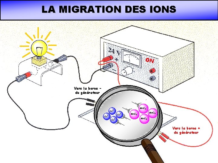 LA MIGRATION DES IONS ON Vers la borne – du générateur Vers la borne LA MIGRATION DES IONS ON Vers la borne – du générateur Vers la borne