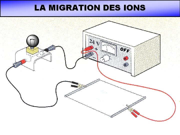 LA MIGRATION DES IONS OFF LA MIGRATION DES IONS OFF