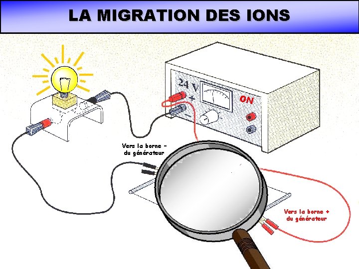 LA MIGRATION DES IONS ON Vers la borne – du générateur Vers la borne LA MIGRATION DES IONS ON Vers la borne – du générateur Vers la borne