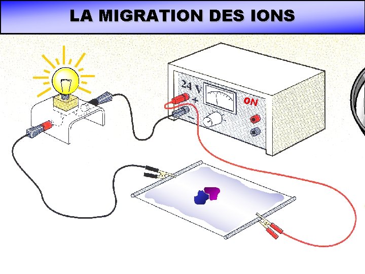LA MIGRATION DES IONS ON LA MIGRATION DES IONS ON