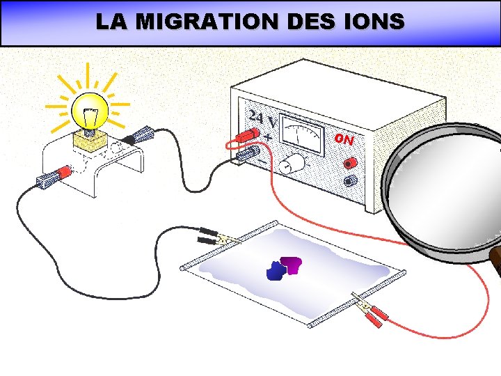 LA MIGRATION DES IONS ON LA MIGRATION DES IONS ON
