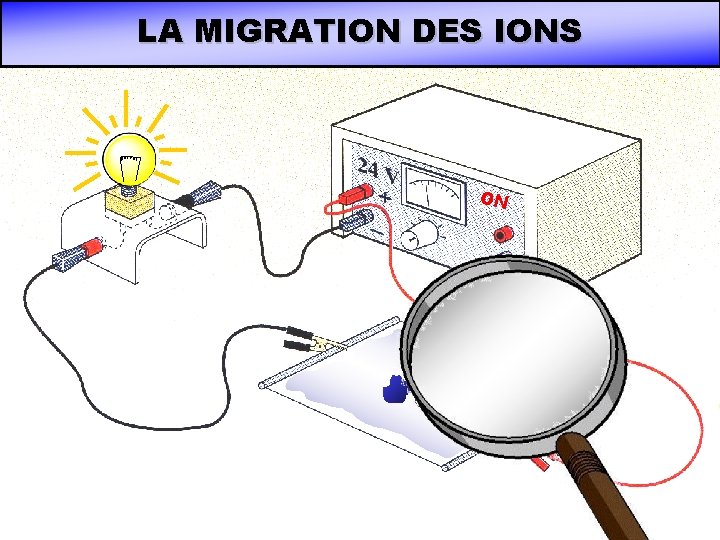 LA MIGRATION DES IONS ON LA MIGRATION DES IONS ON