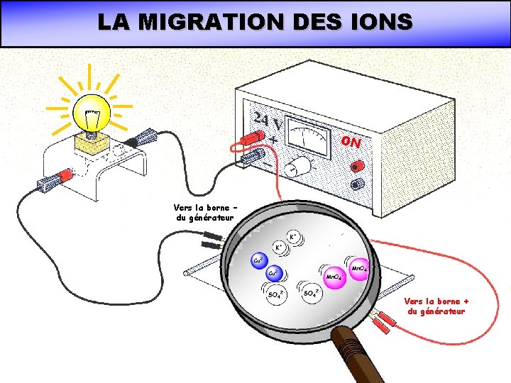 LA MIGRATION DES IONS ON Vers la borne – du générateur Vers la borne LA MIGRATION DES IONS ON Vers la borne – du générateur Vers la borne