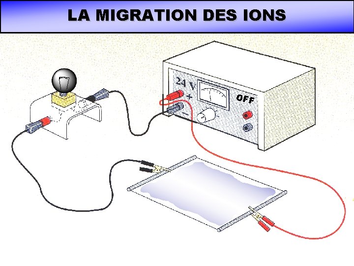 LA MIGRATION DES IONS OFF LA MIGRATION DES IONS OFF