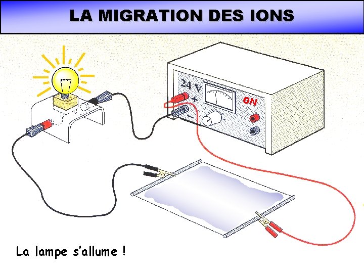 LA MIGRATION DES IONS ON La lampe s’allume ! LA MIGRATION DES IONS ON La lampe s’allume !