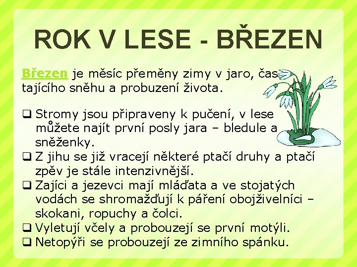 ROK V LESE - BŘEZEN Březen je měsíc přeměny zimy v jaro, čas tajícího