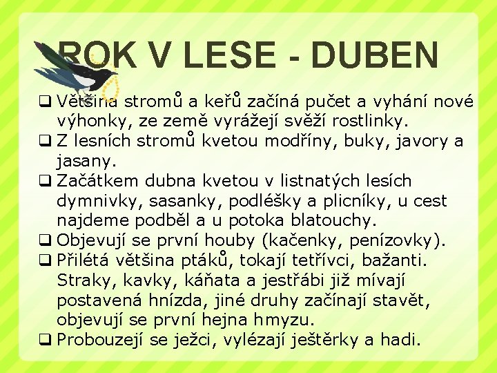 ROK V LESE - DUBEN q Většina stromů a keřů začíná pučet a vyhání