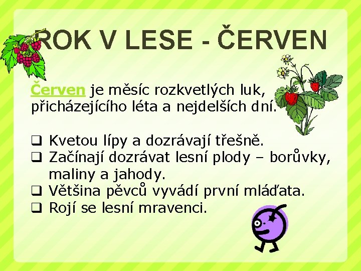 ROK V LESE - ČERVEN Červen je měsíc rozkvetlých luk, přicházejícího léta a nejdelších