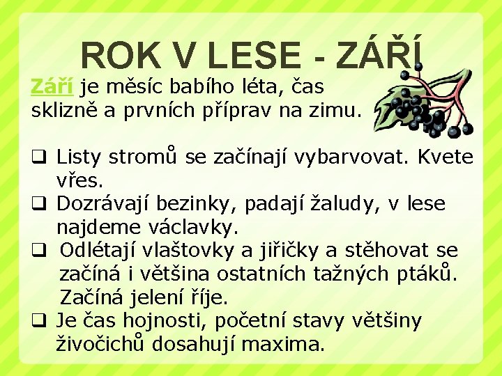 ROK V LESE - ZÁŘÍ Září je měsíc babího léta, čas sklizně a prvních