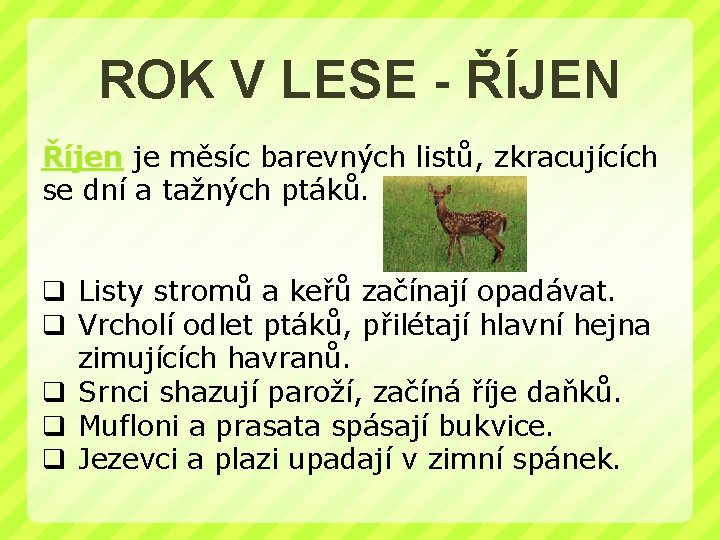 ROK V LESE - ŘÍJEN Říjen je měsíc barevných listů, zkracujících se dní a