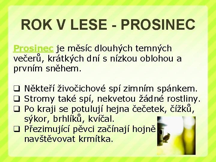 ROK V LESE - PROSINEC Prosinec je měsíc dlouhých temných večerů, krátkých dní s