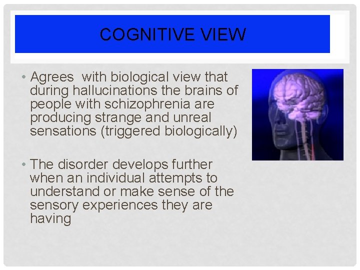 COGNITIVE VIEW • Agrees with biological view that during hallucinations the brains of people