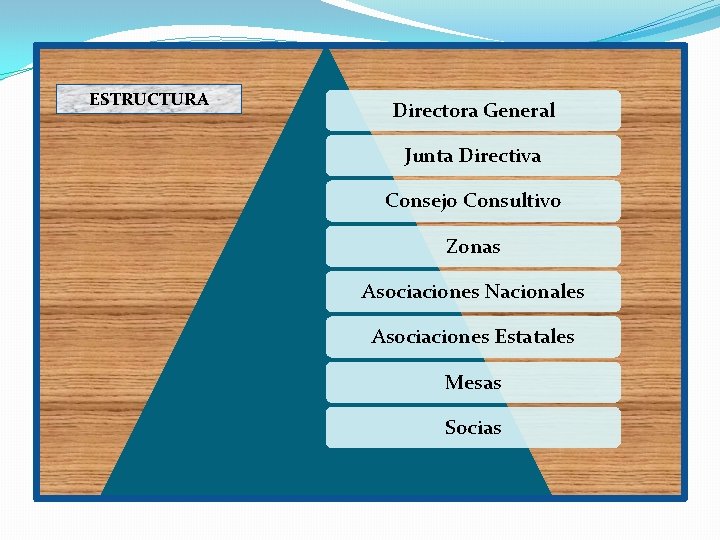 ESTRUCTURA Directora General Junta Directiva Consejo Consultivo Zonas Asociaciones Nacionales Asociaciones Estatales Mesas Socias