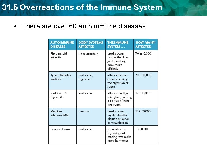 31. 5 Overreactions of the Immune System • There are over 60 autoimmune diseases.