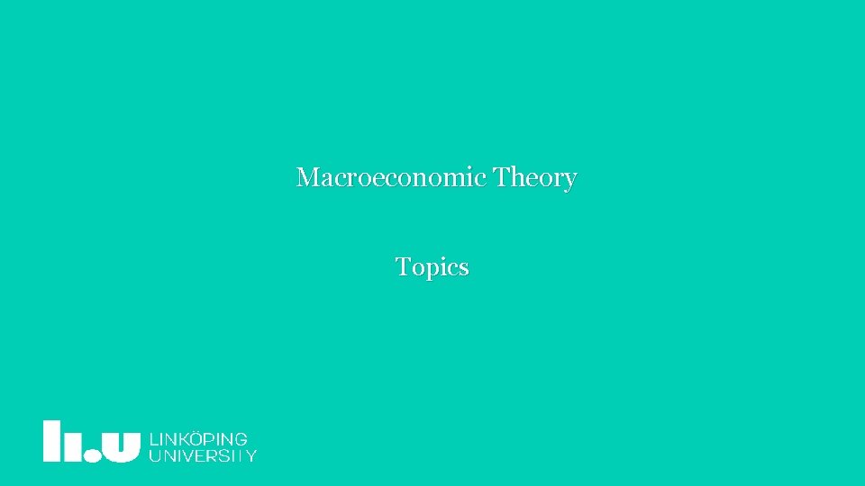 Macroeconomic Theory Topics 