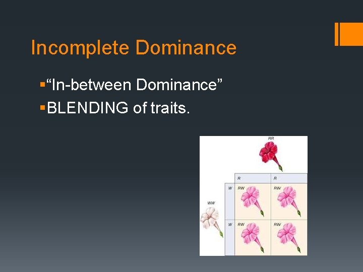 Incomplete Dominance §“In-between Dominance” §BLENDING of traits. 