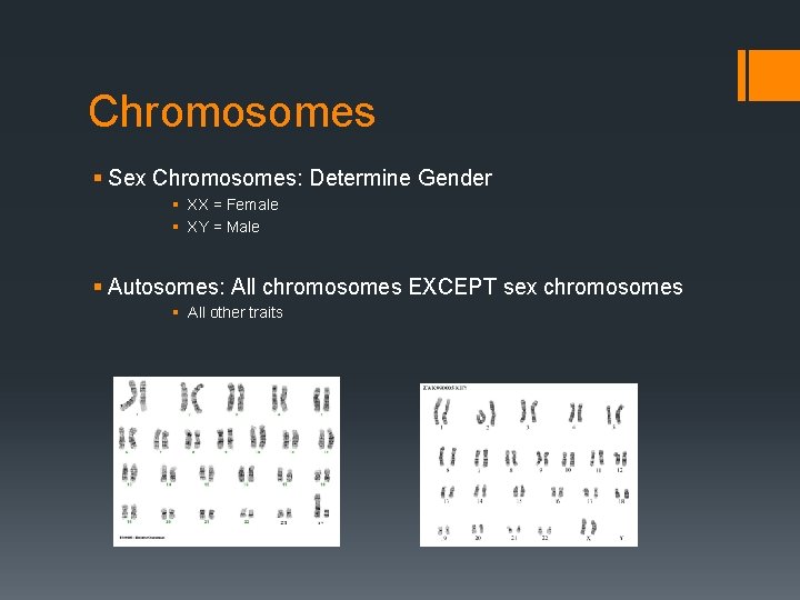 Chromosomes § Sex Chromosomes: Determine Gender § XX = Female § XY = Male