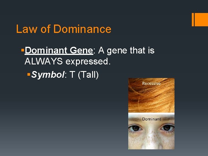 Law of Dominance §Dominant Gene: A gene that is ALWAYS expressed. §Symbol: T (Tall)