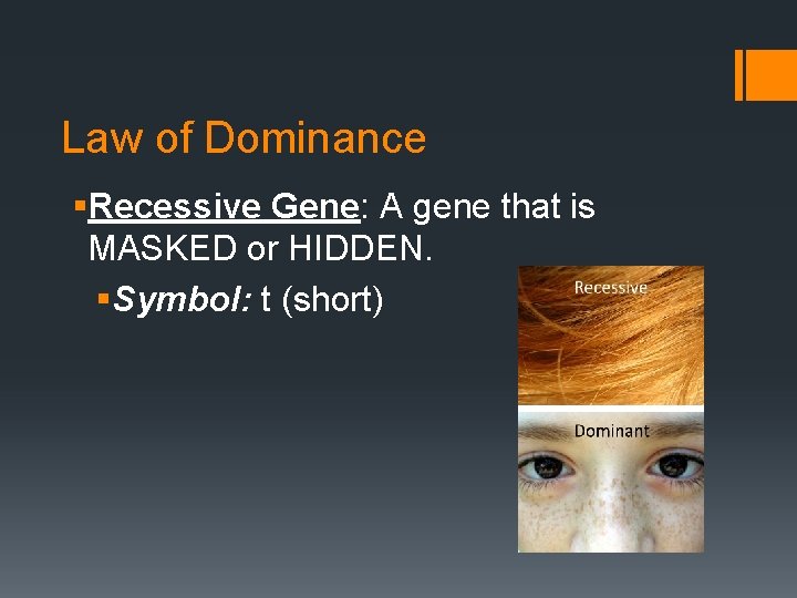 Law of Dominance §Recessive Gene: A gene that is MASKED or HIDDEN. §Symbol: t