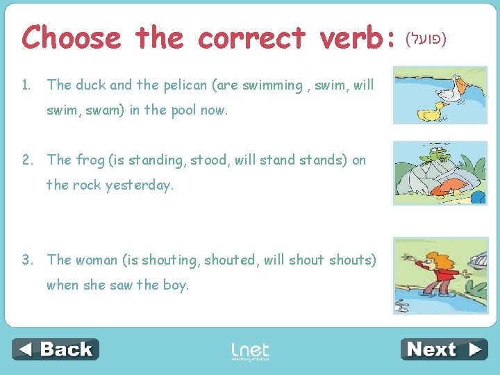 Choose the correct verb: ( )פועל 1. The duck and the pelican (are swimming