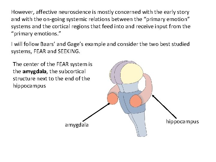 However, affective neuroscience is mostly concerned with the early story and with the on-going However, affective neuroscience is mostly concerned with the early story and with the on-going