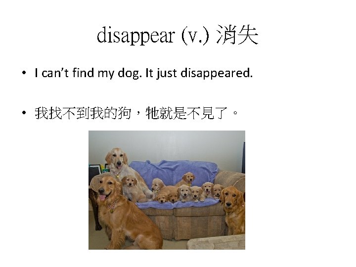 disappear (v. ) 消失 • I can’t find my dog. It just disappeared. •