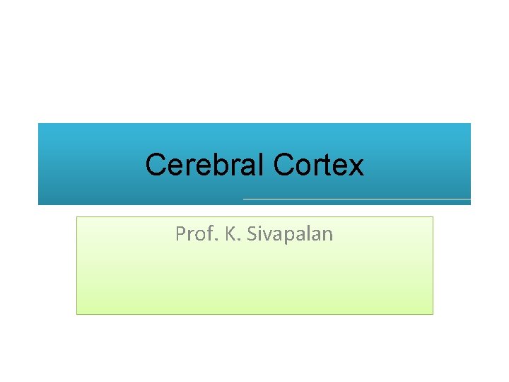 Cerebral Cortex Prof. K. Sivapalan 