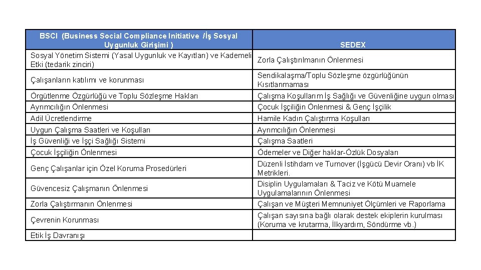 BSCI (Business Social Compliance Initiative /İş Sosyal Uygunluk Girişimi ) SEDEX Sosyal Yönetim Sistemi