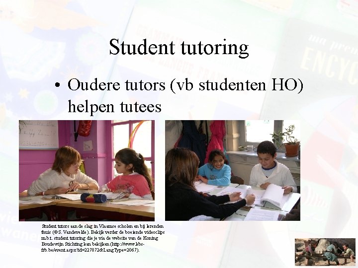 Student tutoring • Oudere tutors (vb studenten HO) helpen tutees Student tutors aan de