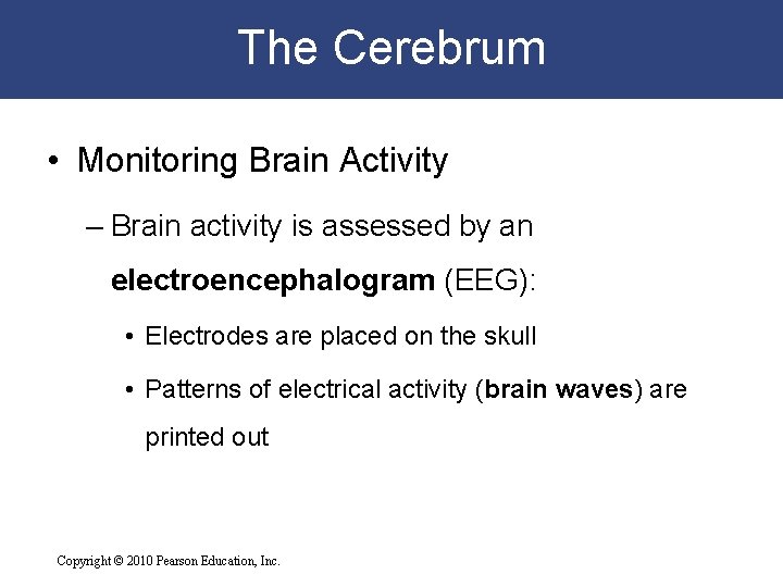 The Cerebrum • Monitoring Brain Activity – Brain activity is assessed by an electroencephalogram